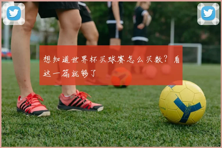 想知道世界杯买球赛怎么买数?看这一篇就够了