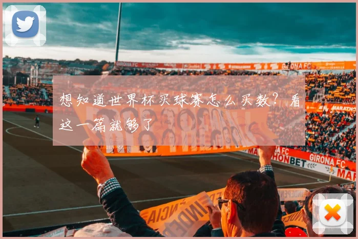 想知道世界杯买球赛怎么买数?看这一篇就够了