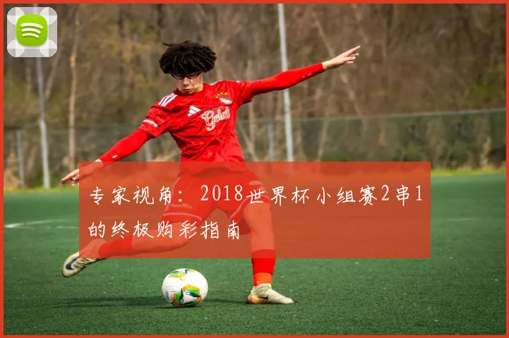 专家视角：2018世界杯小组赛2串1的终极购彩指南