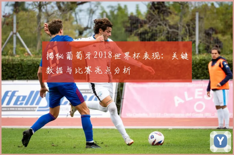 揭秘葡萄牙2018世界杯表现：关键数据与比赛亮点分析