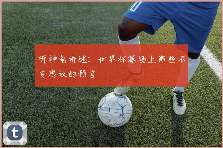 听神龟讲述：世界杯赛场上那些不可思议的预言