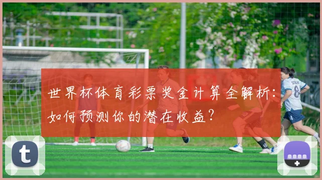 世界杯体育彩票奖金计算全解析：如何预测你的潜在收益？