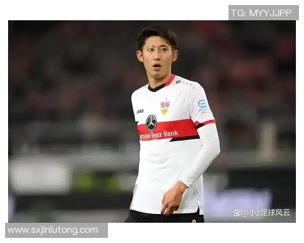 国内足球明星风云榜揭秘他们的成就与影响力