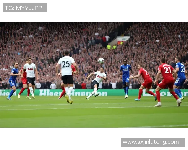 七人足球明星的传奇故事与他们在绿茵场上的辉煌瞬间