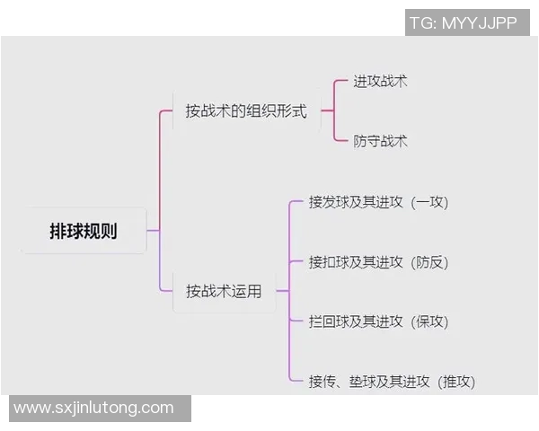 广州排球队整体压制打法深度分析与战术解读 广州排球队整体压制打法深度分析与战术解读