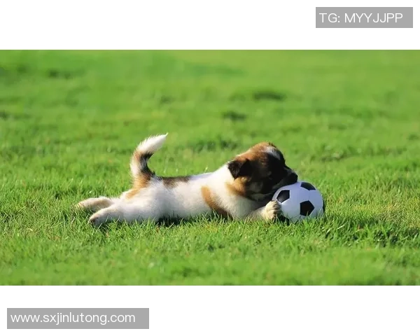 精选iPad足球明星壁纸让你的屏幕焕发活力与激情尽享足球魅力与明星风采 精选iPad足球明星壁纸让你的屏幕焕发活力与激情尽享足球魅力与明星风采