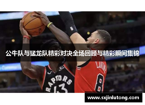 公牛队与猛龙队精彩对决全场回顾与精彩瞬间集锦