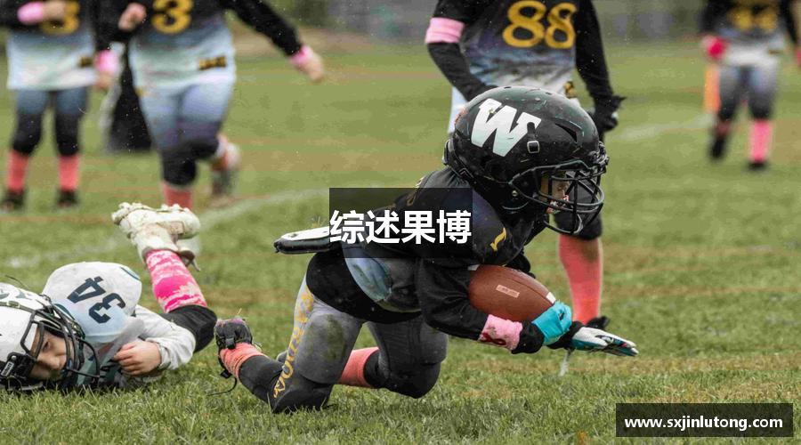 综述果博
